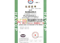 公司認(rèn)證證書