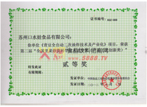 科學技術進步獎（二等獎）