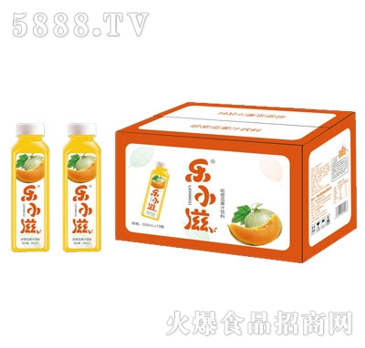 樂小滋哈密瓜果汁飲料500mlX15