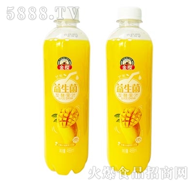 金櫻發(fā)酵芒果汁飲料488ml