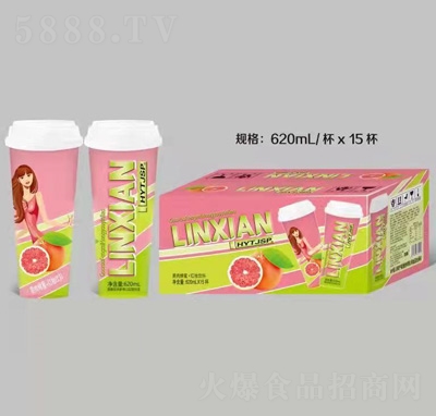 龐迪杯裝飲品果肉蜂蜜紅柚果汁飲料620ml×15杯