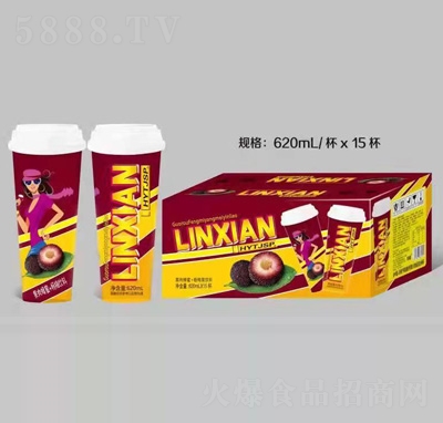 龐迪杯裝飲品果肉蜂蜜楊梅果汁飲料620ml×15杯