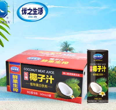 優(yōu)之生活正宗生榨椰子汁240ml16罐