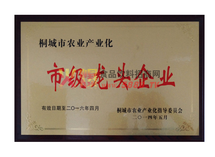 龍頭企業(yè)證明