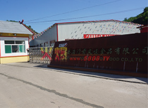 公司
