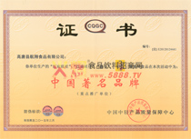 中國著名品牌證書