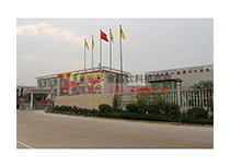 公司全景