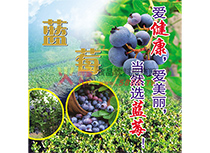 藍莓