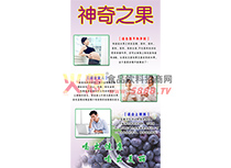 藍莓適用人群