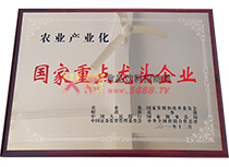 國家重點(diǎn)龍頭企業(yè)