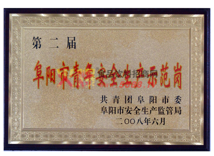 阜陽(yáng)市青年安全生產(chǎn)示范崗