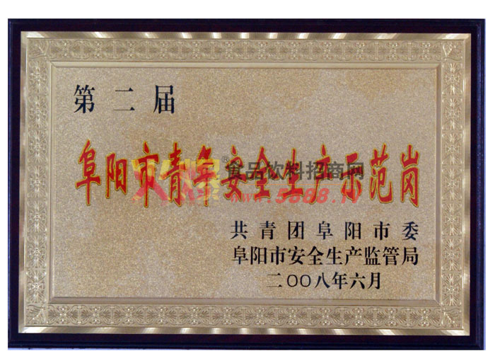 阜陽(yáng)市青年安全生產(chǎn)示范崗