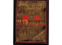 百龍企業(yè)銀獎(jiǎng)