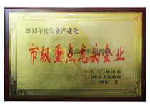 市級(jí)重點(diǎn)龍頭企業(yè)