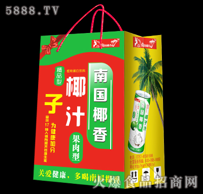 南國椰香椰子汁24罐裝手挽禮袋