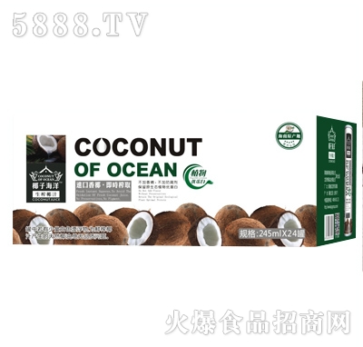 椰子海洋生榨椰汁箱245ml×24罐