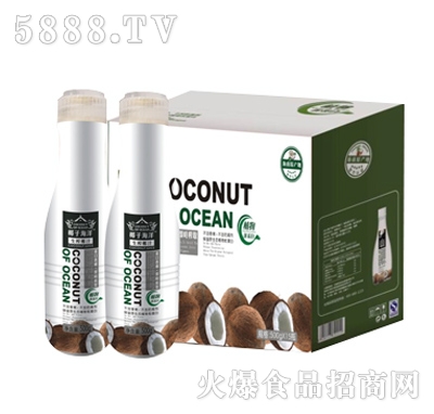椰子海洋生榨椰汁箱500g×15瓶