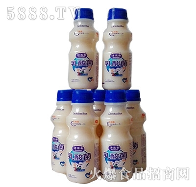 沛霖齋乳酸菌338ml