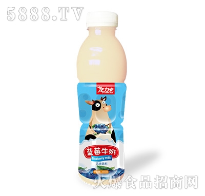 龍力卡藍(lán)莓牛奶乳味飲料600ml(瓶裝)