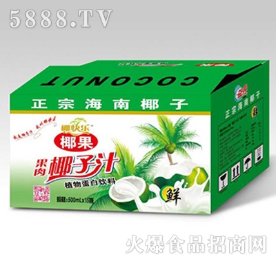 椰快樂(lè)椰果果肉椰子汁500mlX15瓶