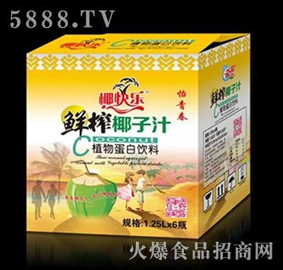 椰快樂(lè)怡青春鮮榨椰子汁植物蛋白飲料1.25lX6瓶