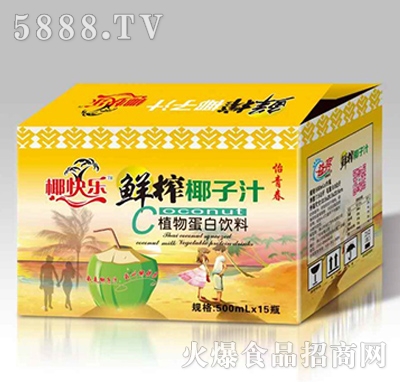 椰快樂(lè)怡青春鮮榨椰子汁植物蛋白飲料500MLx15瓶