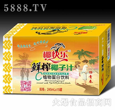椰快樂(lè)怡青春鮮榨椰子汁植物蛋白飲料245mlX15罐