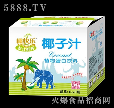 椰快樂(lè)泰式鮮榨椰子汁植物蛋白飲料1LX8瓶
