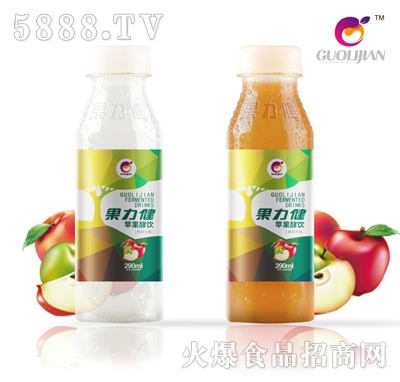 果力健蘋(píng)果酵飲290ml（瓶）