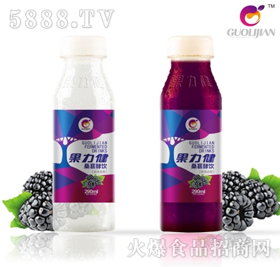 果力健桑葚酵飲290ml（瓶）