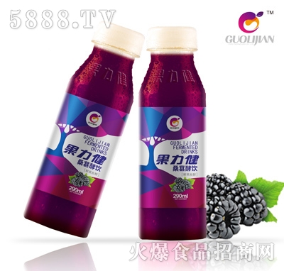 果力健桑葚酵飲290ml