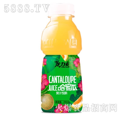 龍力卡哈密瓜果汁飲料390ml