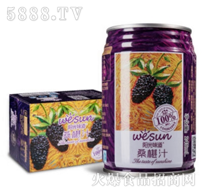 陽光味道桑椹汁245mLx6罐