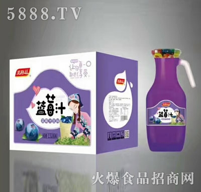 美格絲藍(lán)莓汁飲料1.5Lx6瓶