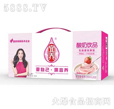 宜養(yǎng)酸奶飲品乳酸菌發(fā)酵型草莓味250ml×20