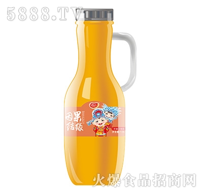 真心因果結(jié)緣芒果汁飲料1.5L