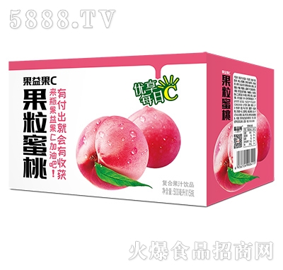 果益果C果粒蜜桃果汁500mlx15