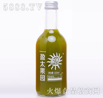 盈太果園乳酸菌獼猴桃汁333ml