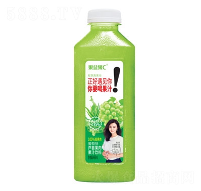 果益果C蘆薈果肉果汁飲料488ml