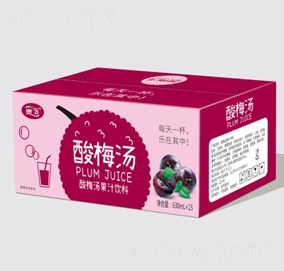 通飛酸梅湯果汁飲料630mlX15