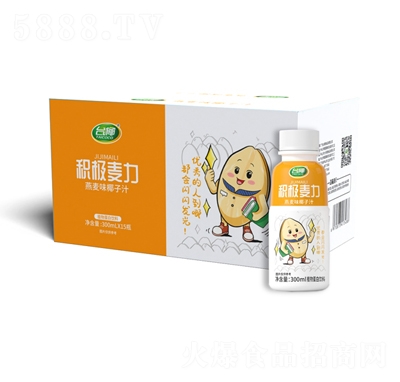 臺(tái)椰燕麥味椰子汁植物蛋白飲料300mlX15瓶招商代理
