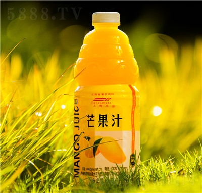 大有為果汁飲料休閑飲品招商代理商超貨源芒果汁1.5L