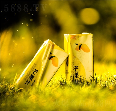 大有為果汁飲料休閑飲品招商代理商超貨源芒果汁250ml
