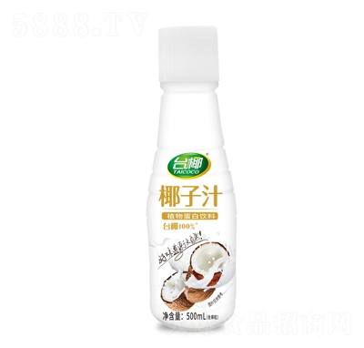 臺(tái)椰椰子汁植物蛋白飲料500ml