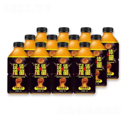 延體能量?；撬釓娀L(fēng)味飲料功能飲料1L