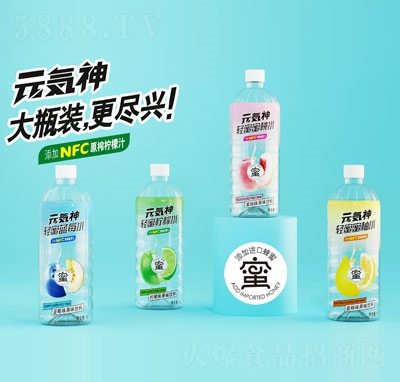 元?dú)萆窆讹嬃?L（瓶）