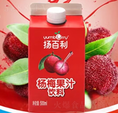 揚(yáng)百利楊梅果汁飲料500ml