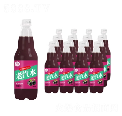 箐質(zhì)老汽水黑加侖味500毫升