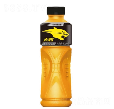 600ml