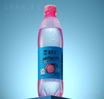 鹽先生電解質(zhì)鹽汽水海鹽桃桃百香果味600ml